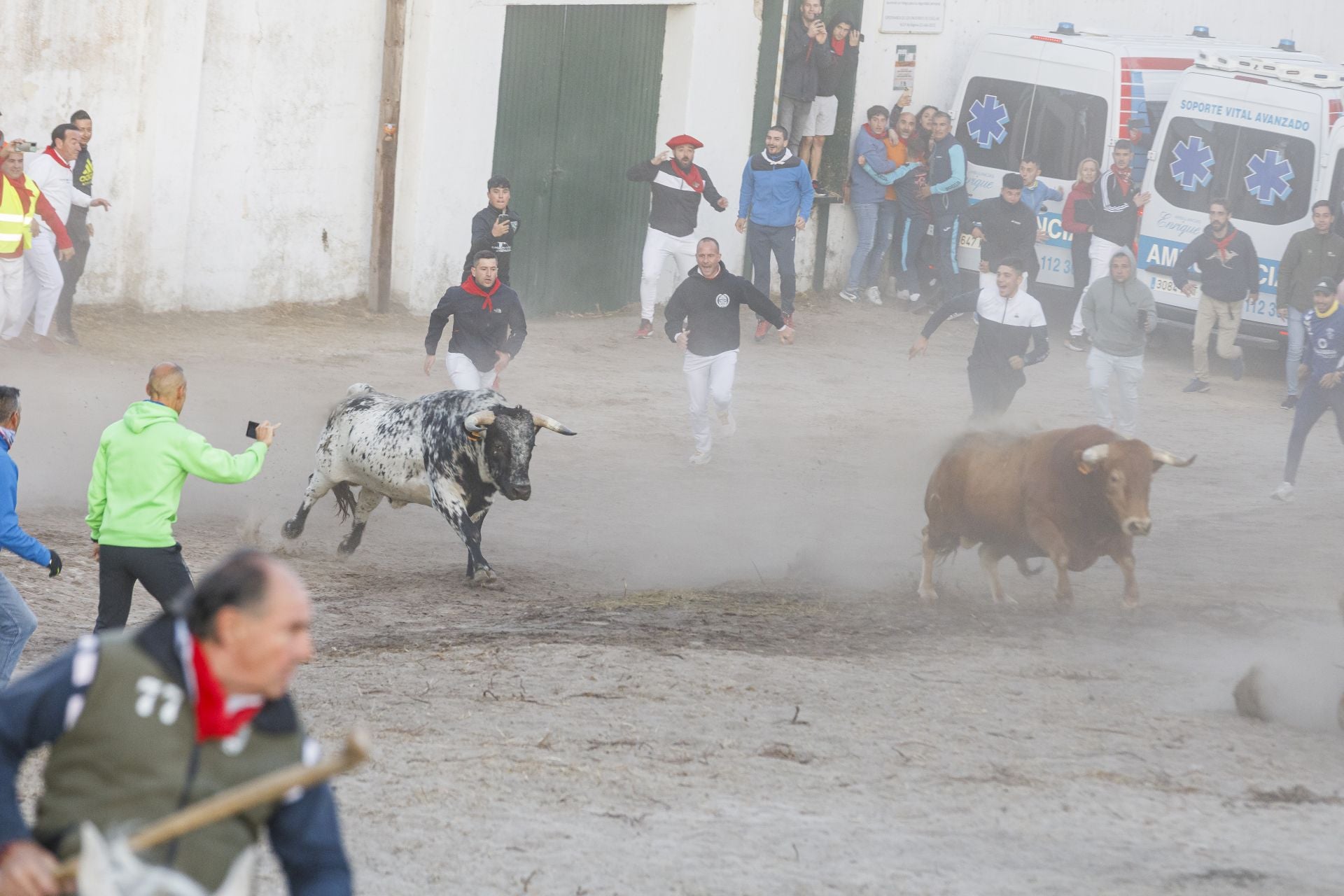 Fotos del cuarto encierro de Cuéllar por el campo