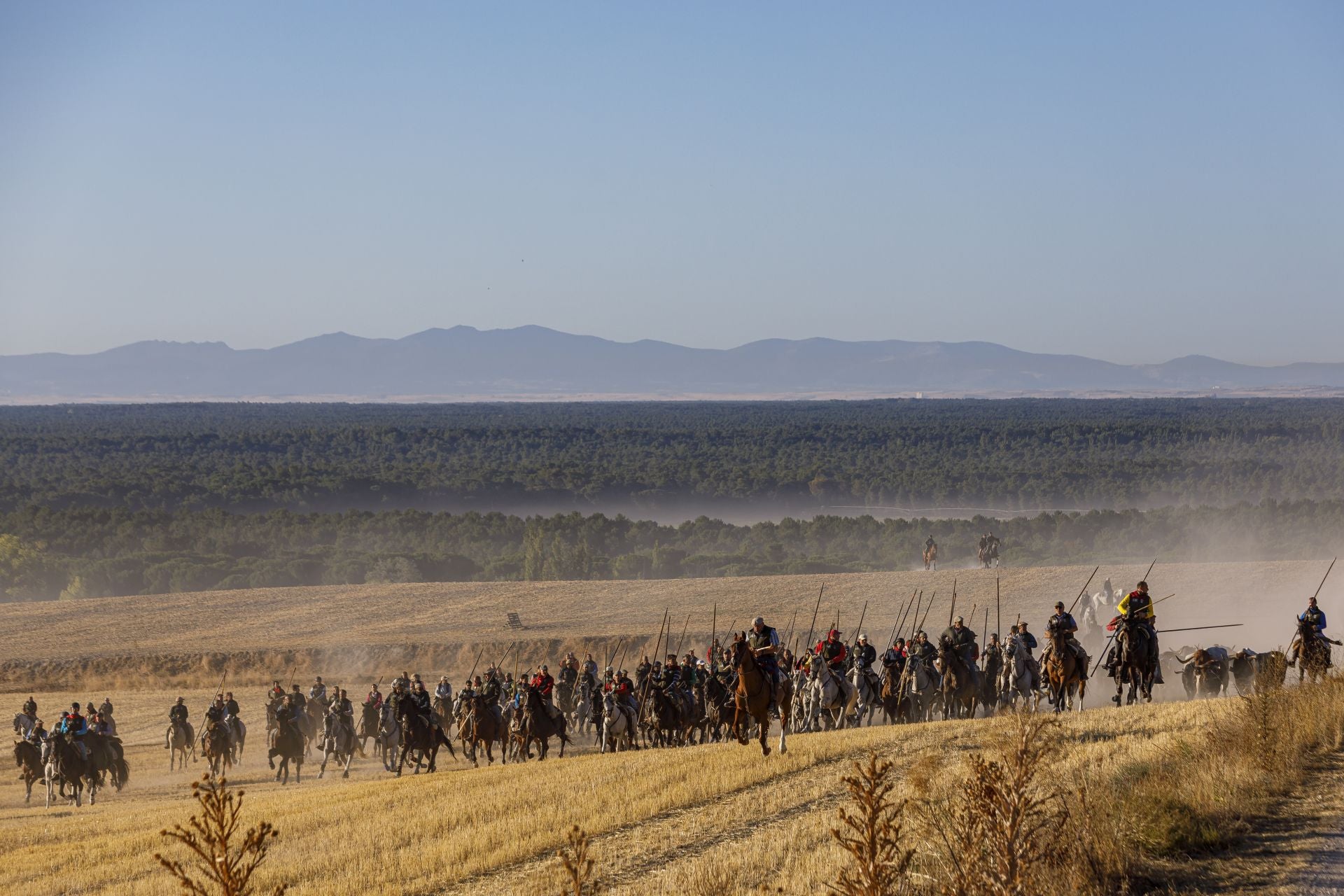 Fotos del cuarto encierro de Cuéllar por el campo