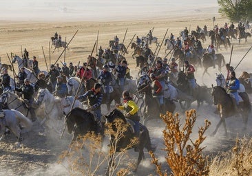El encierro de los utreros de Montes de Oca exhibe ingeniería de bueyes