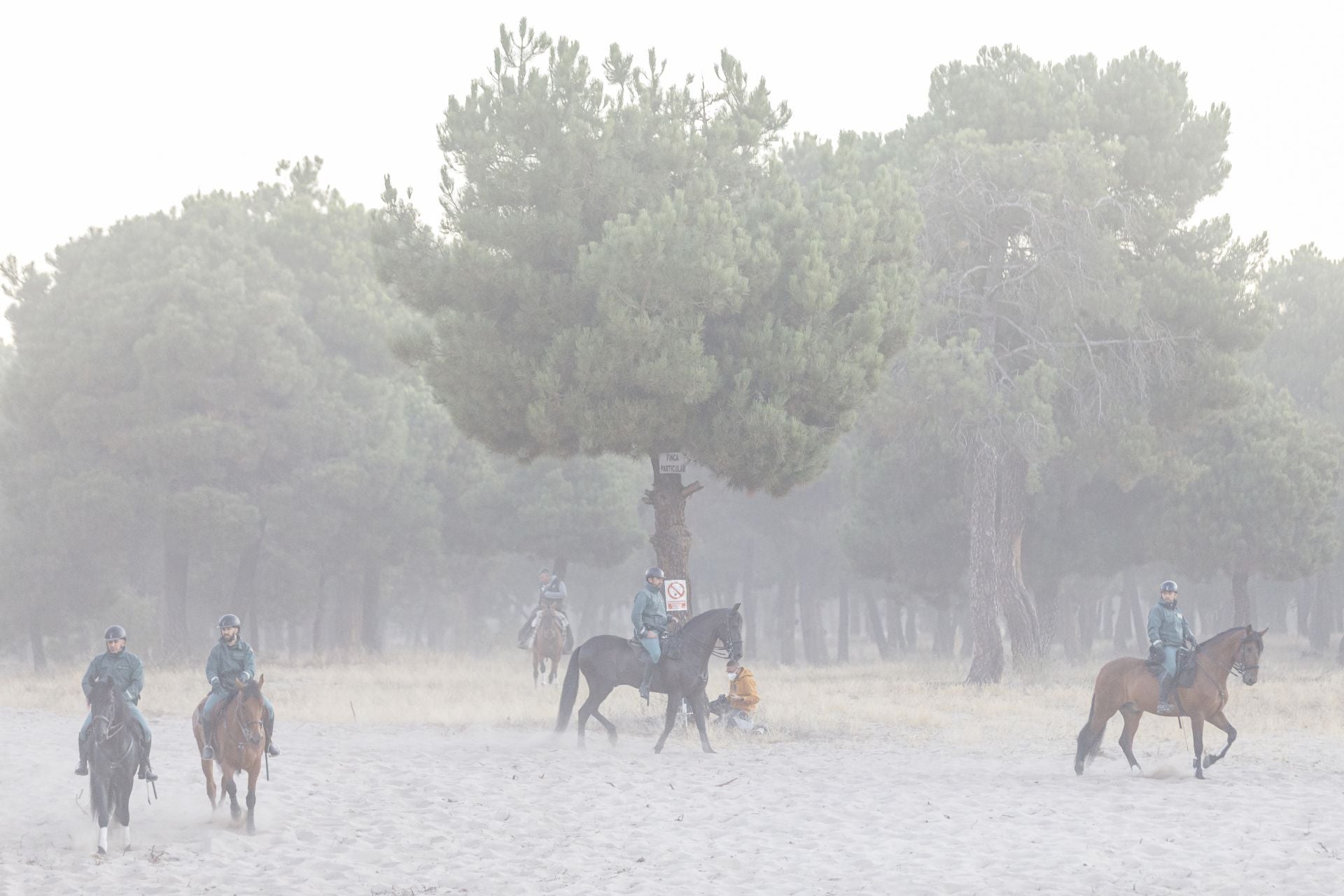 Fotos del cuarto encierro de Cuéllar por el campo