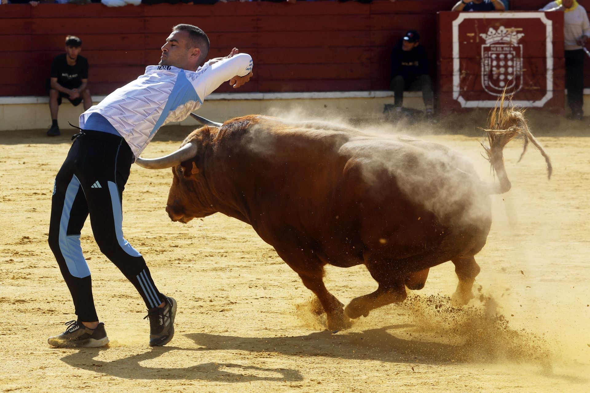 El encierro de Medina del Campo, en imágenes