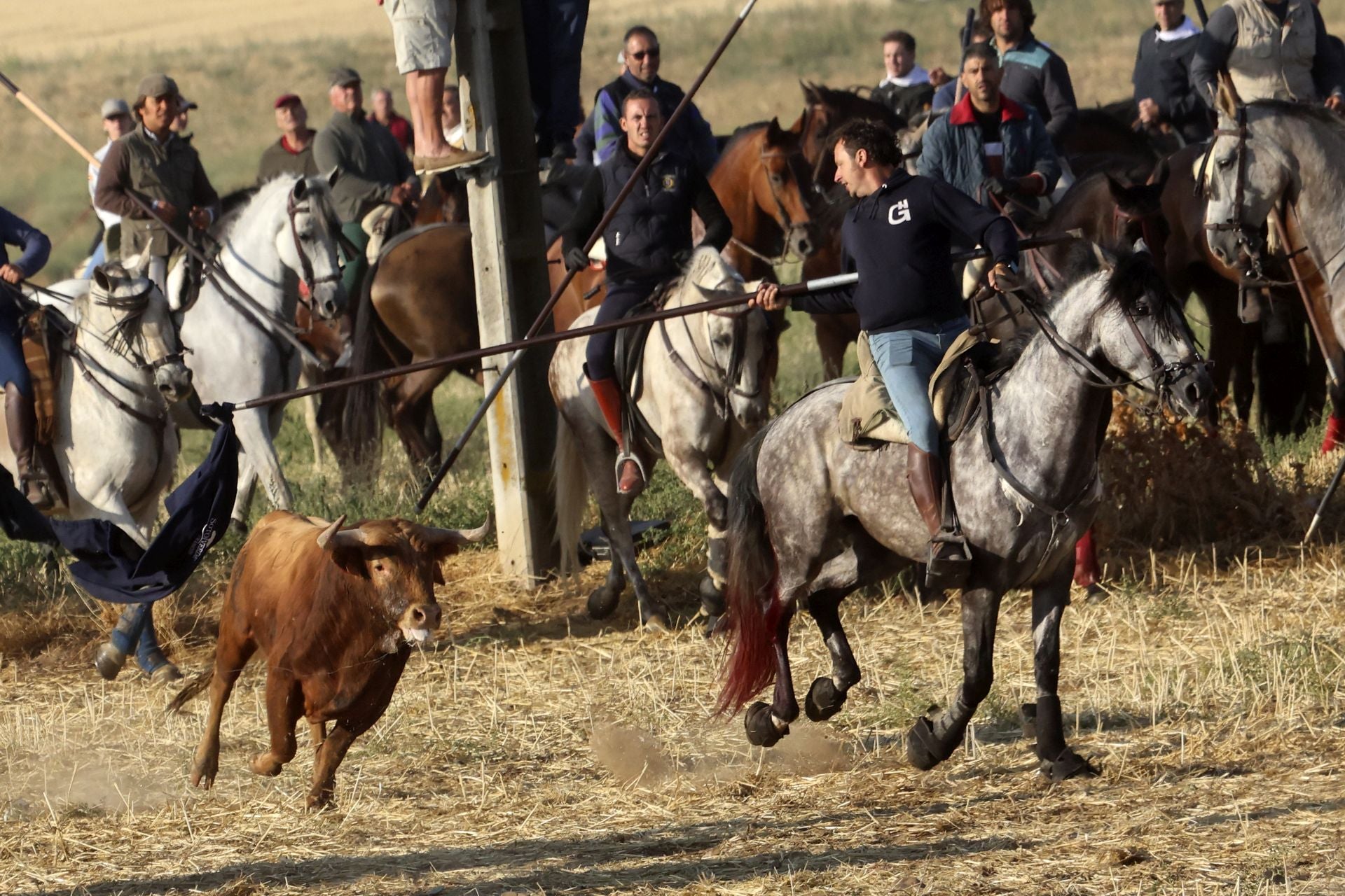 El encierro de Medina del Campo, en imágenes