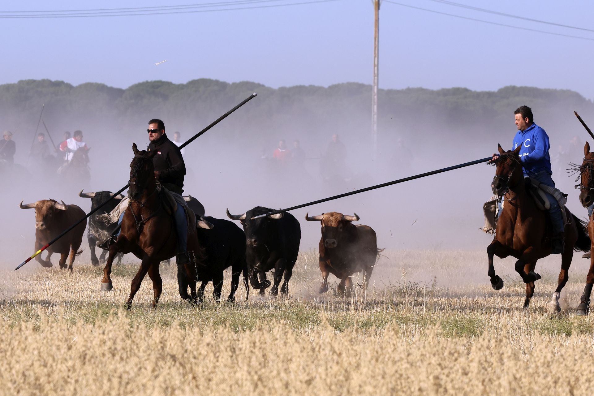 El encierro de Medina del Campo, en imágenes