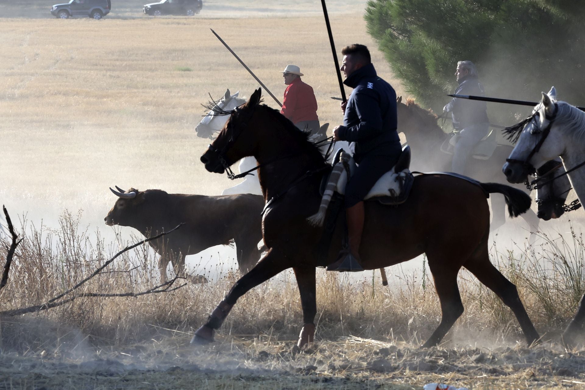 El encierro de Medina del Campo, en imágenes