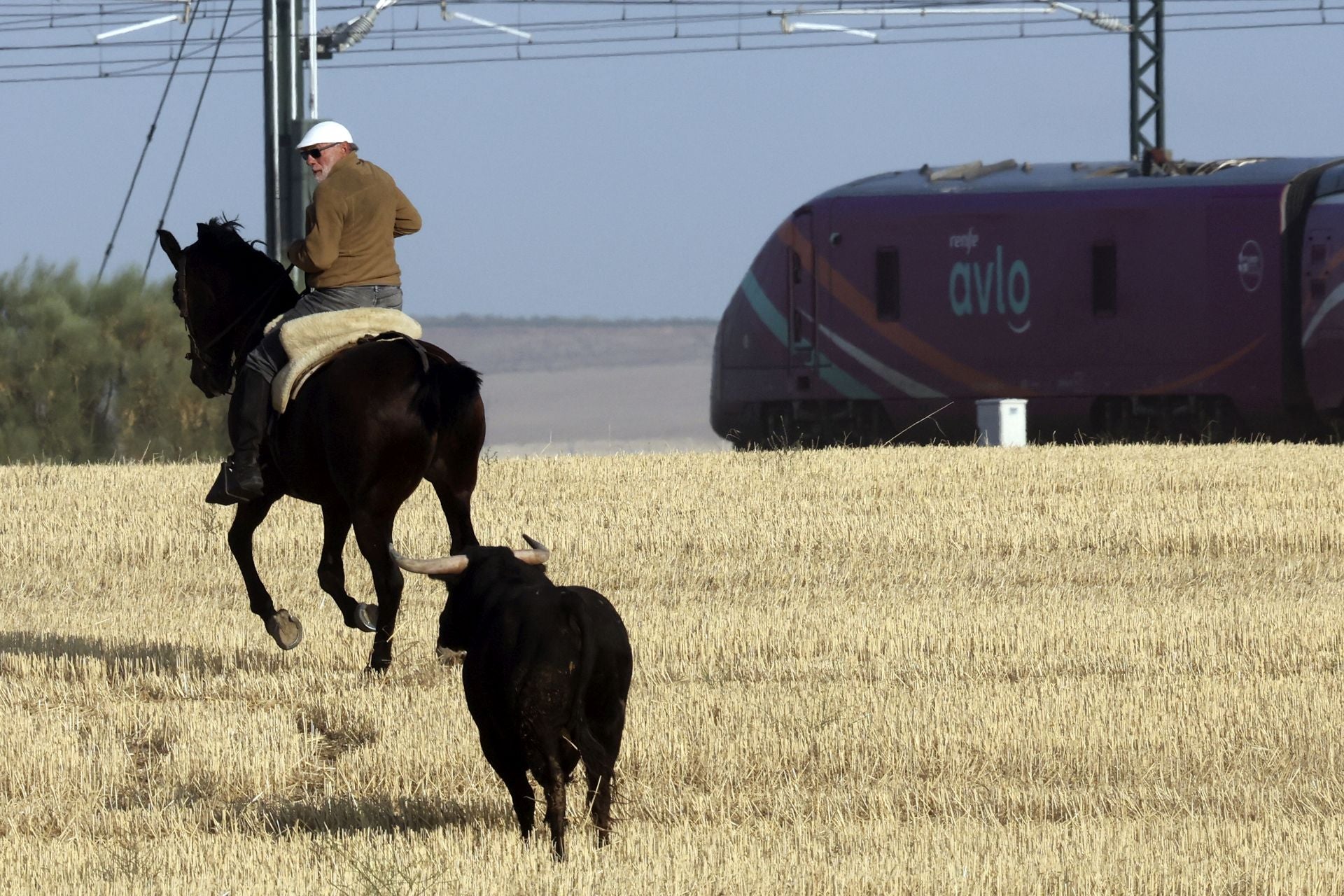 El encierro de Medina del Campo, en imágenes