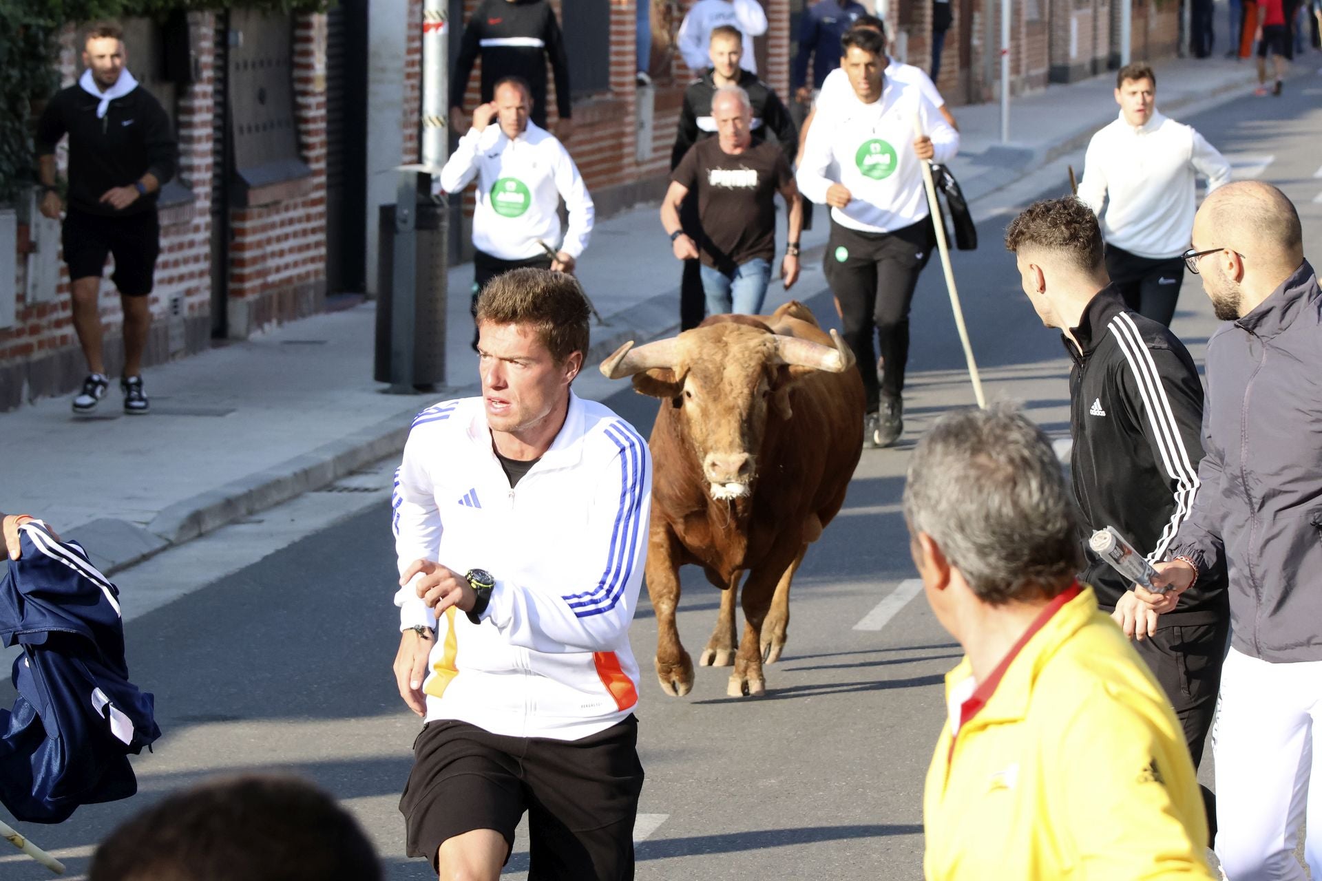 El encierro de Medina del Campo, en imágenes