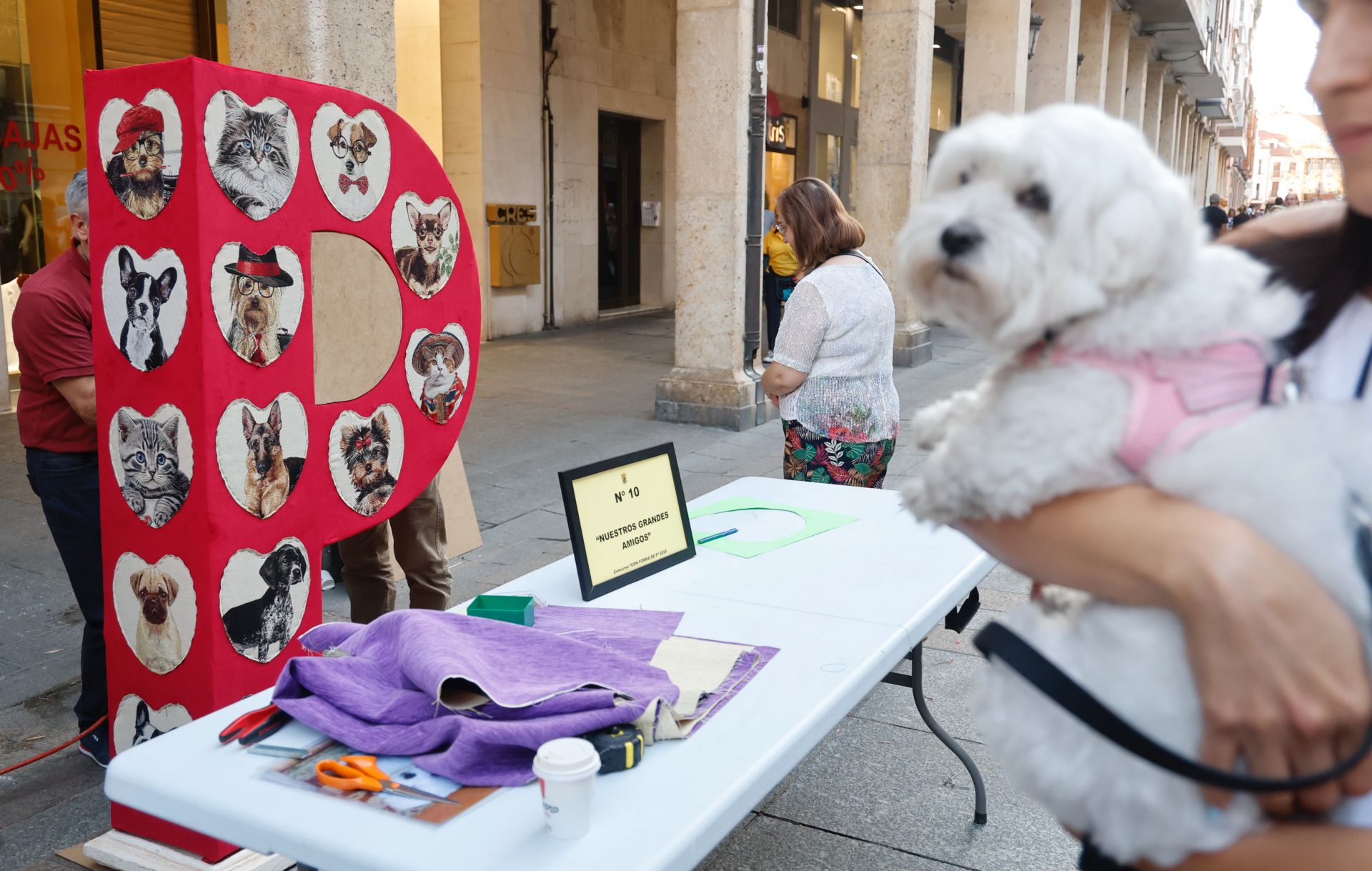 Concurso de las esculturas con forma de P