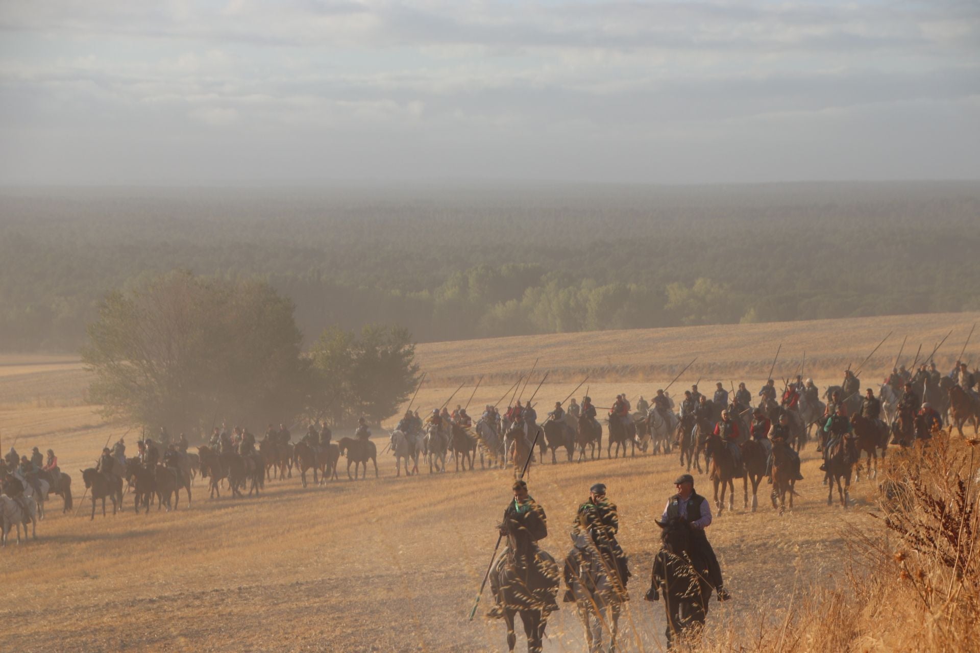 Fotografías del quinto encierro de Cuéllar en el campo