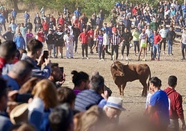 Torneo del Toro de la Vega de 2024