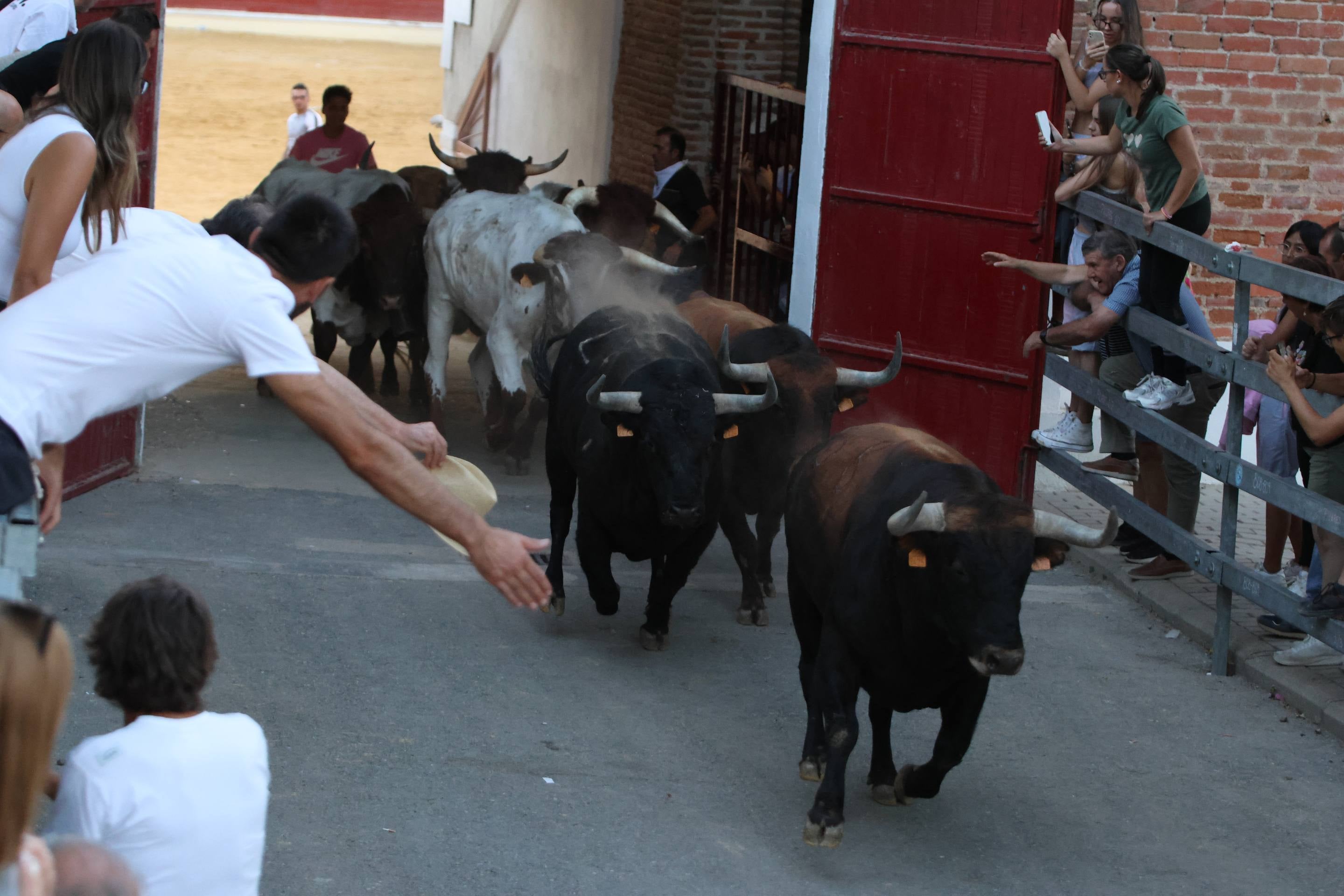 El encierro en Medina del Campo, en imágenes