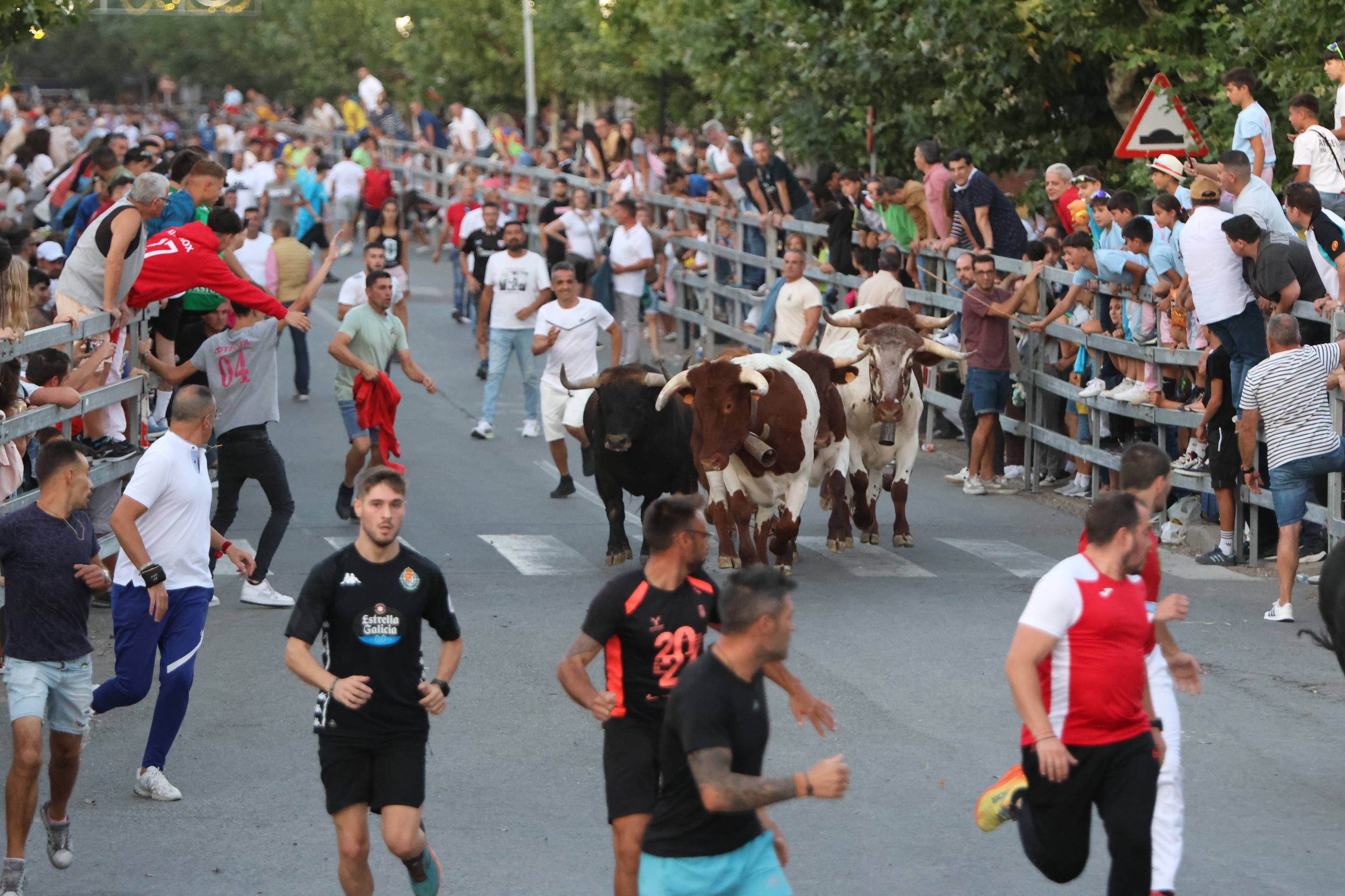 El encierro en Medina del Campo, en imágenes