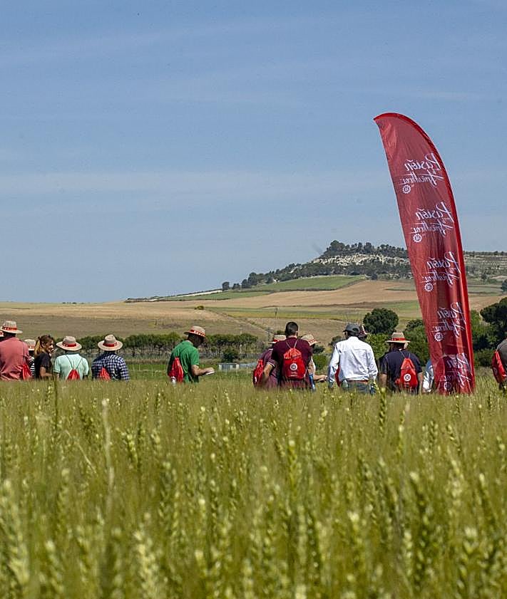 Imagen secundaria 2 - La solución a las necesidades de cada agricultor