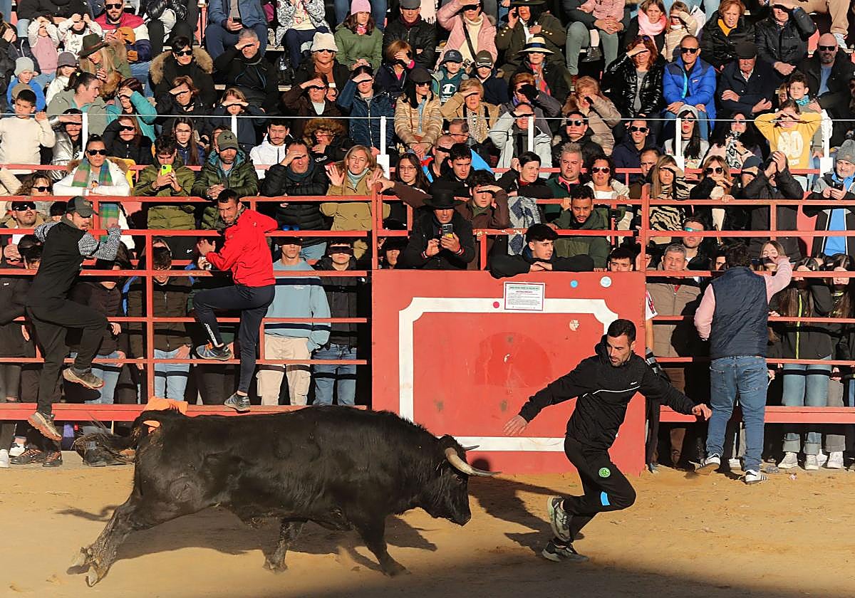 Fiesta taurina de San Sebastián en Paredes de Nava.