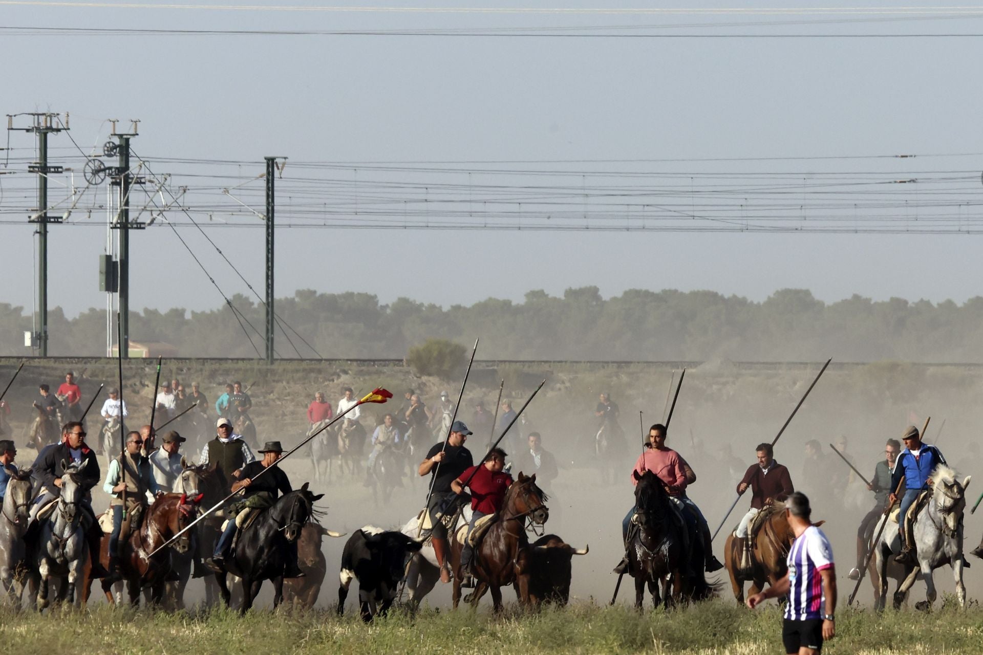 Las imágenes del encierro de este sábado en Medina del Campo