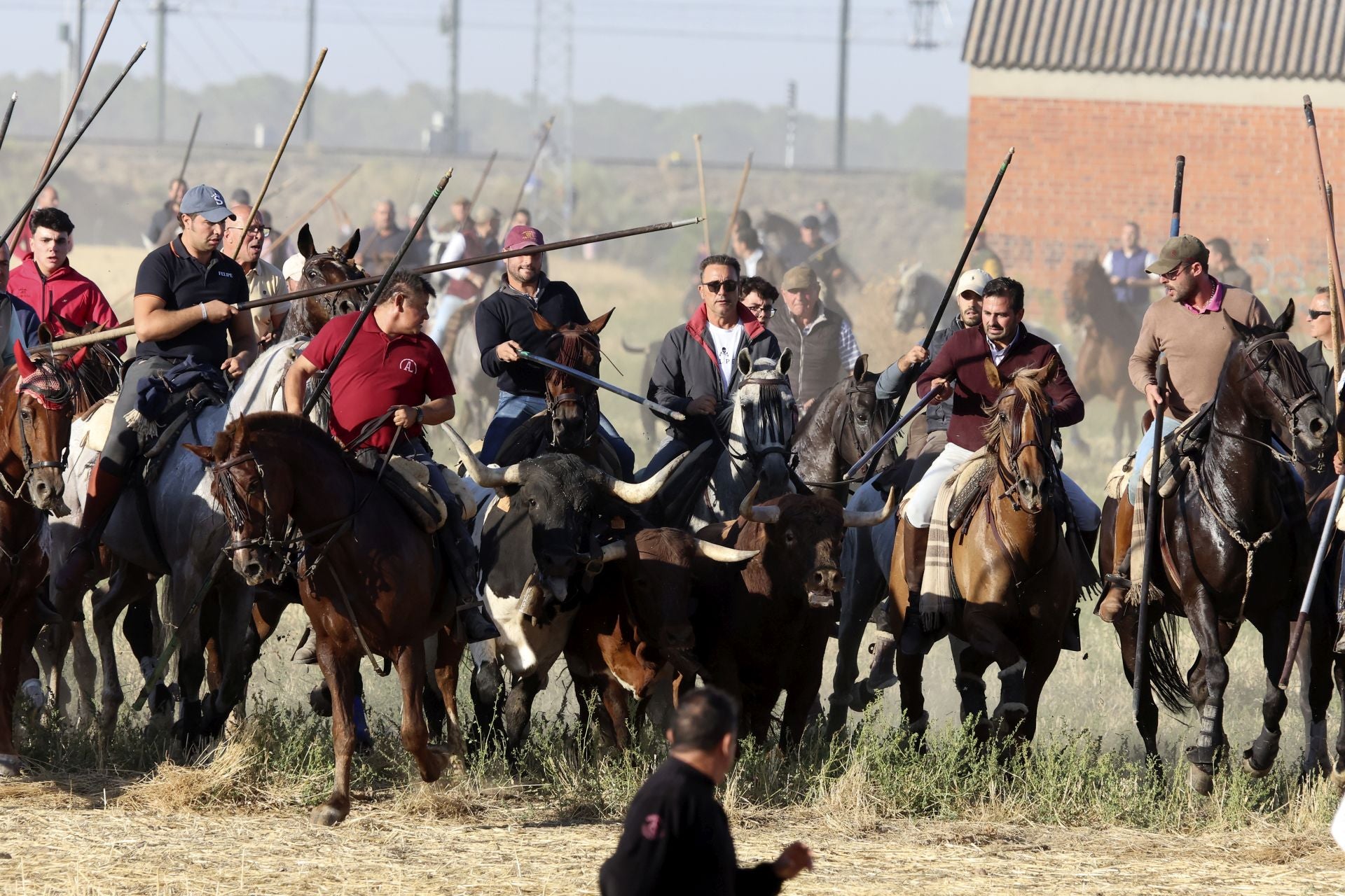 Las imágenes del encierro de este sábado en Medina del Campo
