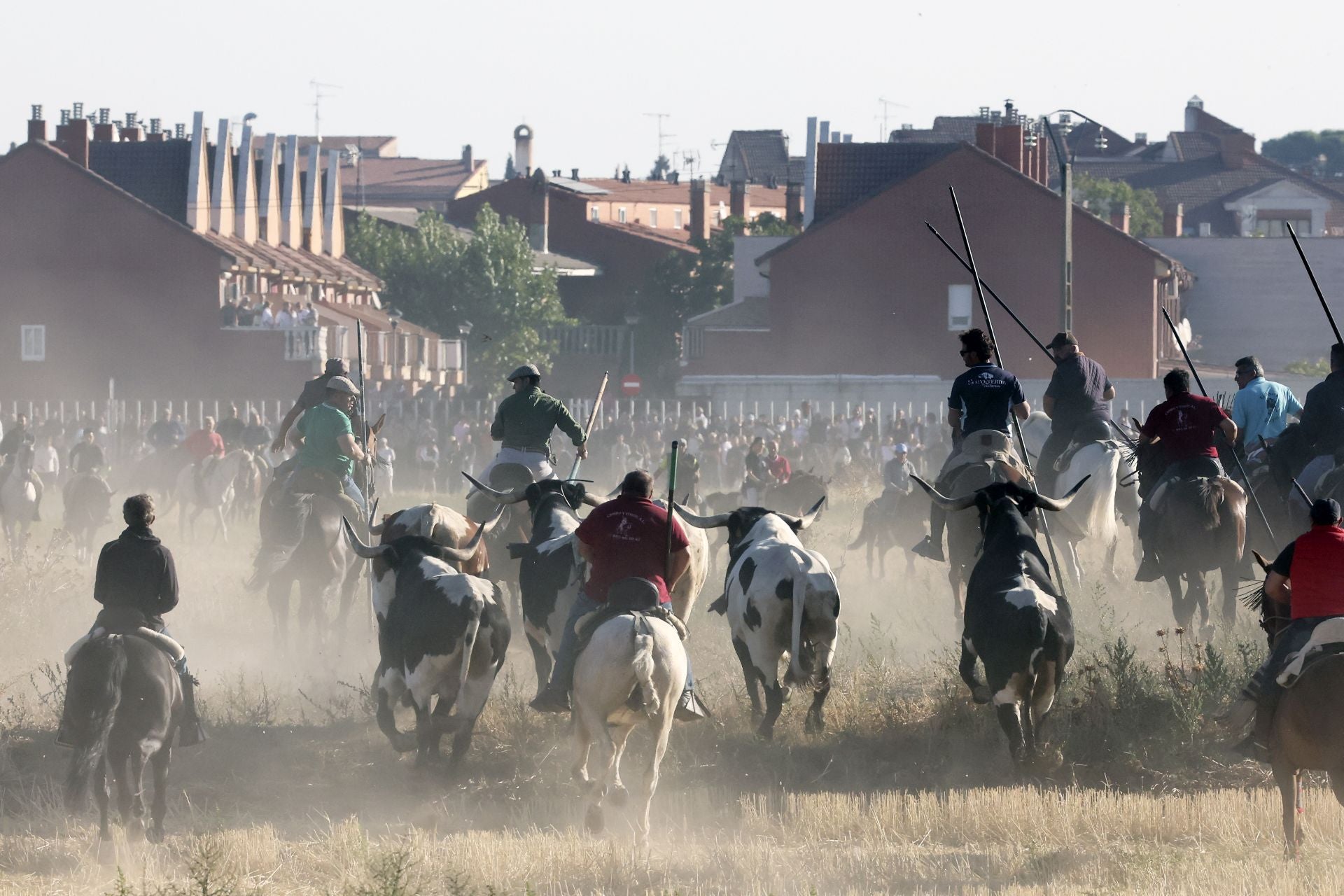 Las imágenes del encierro de este sábado en Medina del Campo