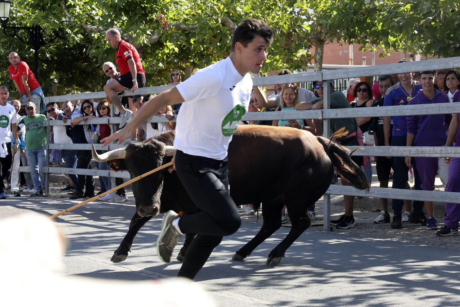 Las imágenes del encierro de este sábado en Medina del Campo