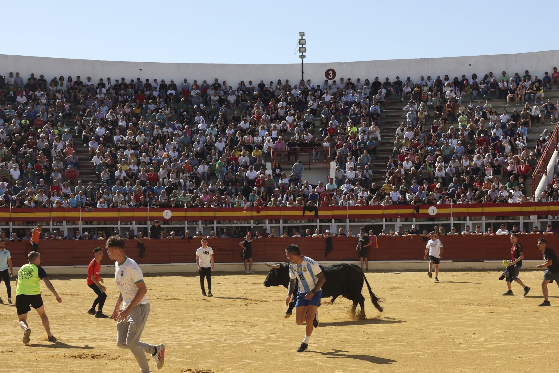 Las imágenes del encierro de este sábado en Medina del Campo