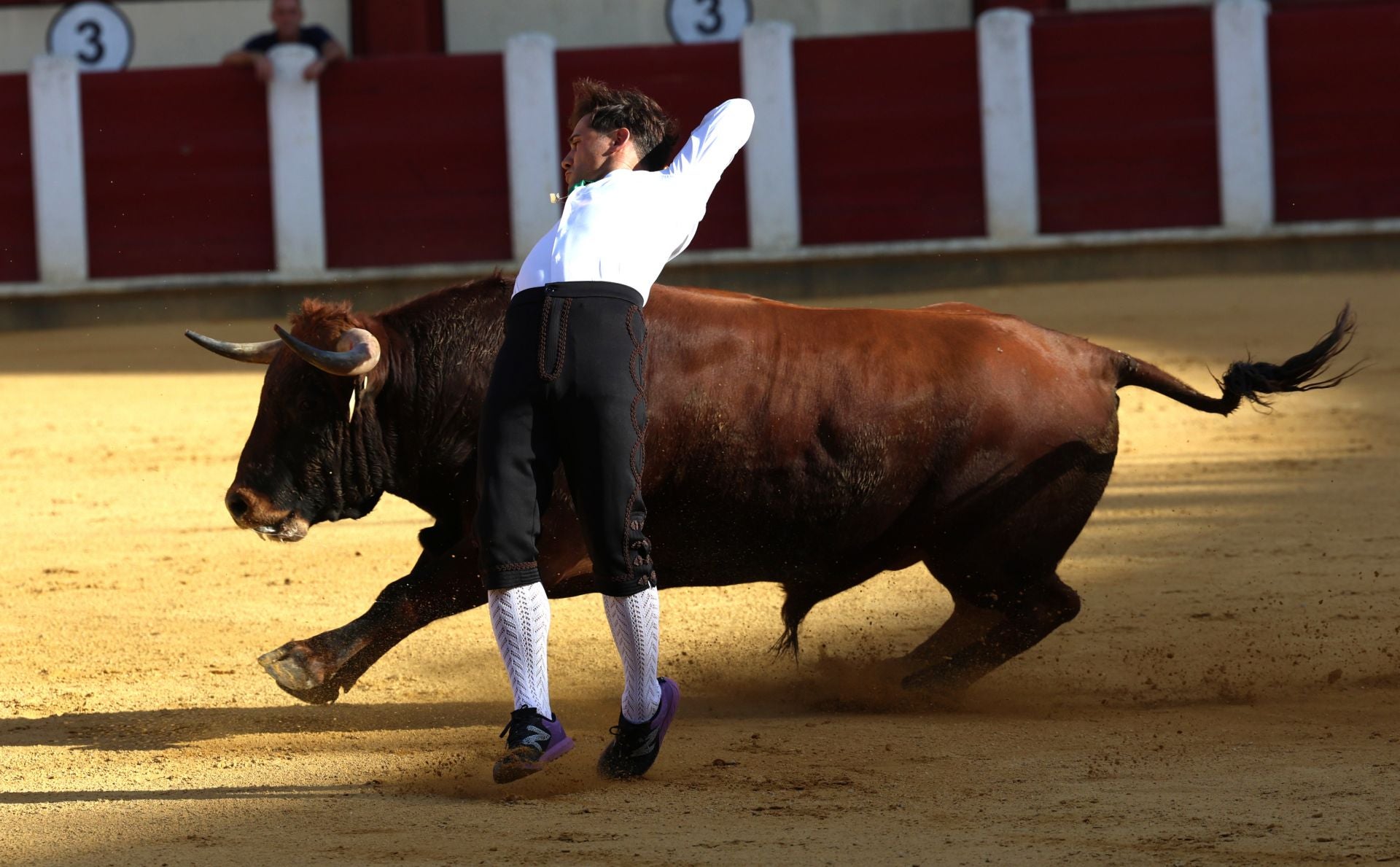 El Concurso de Cortes de Valladolid, en imágenes