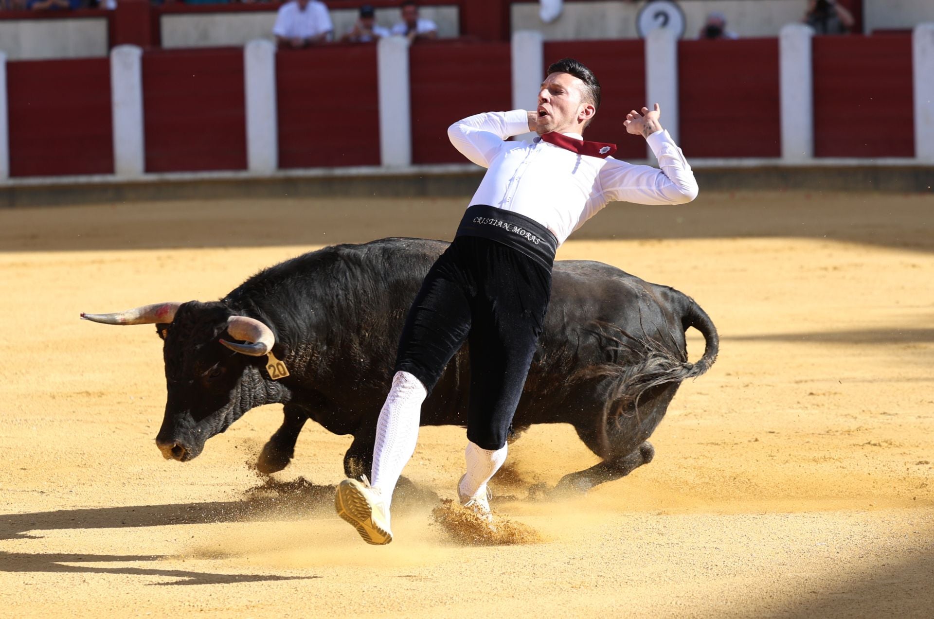 El Concurso de Cortes de Valladolid, en imágenes
