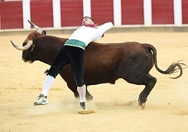 El Concurso de Cortes de Valladolid, en imágenes