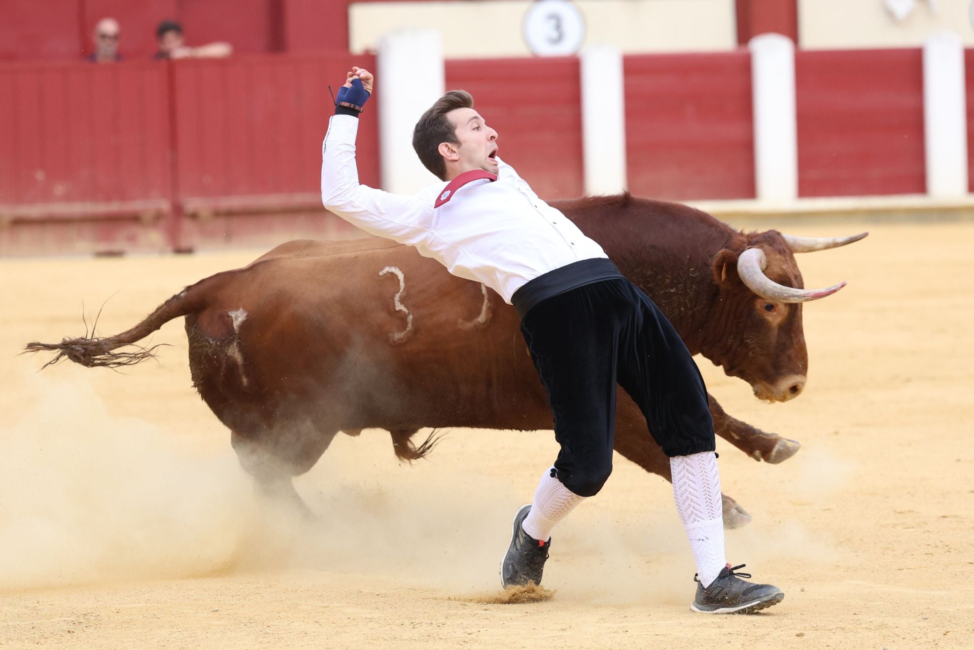 El Concurso de Cortes de Valladolid, en imágenes
