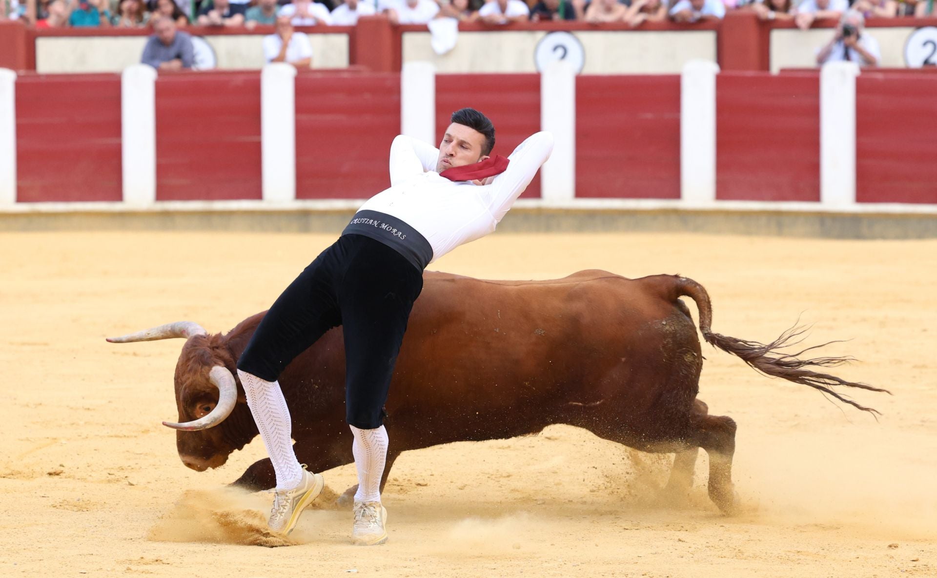 El Concurso de Cortes de Valladolid, en imágenes