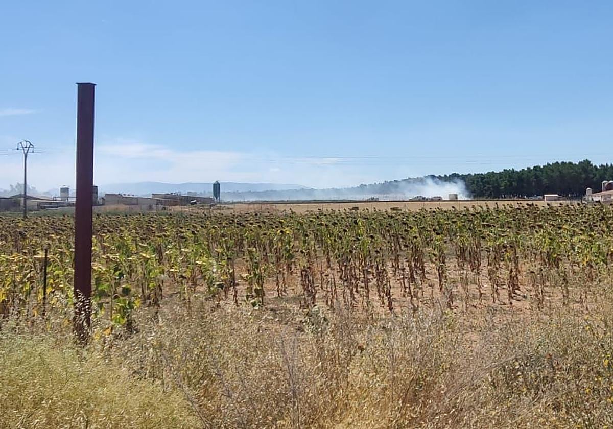Humo procedente del incendio en Cantalejo.