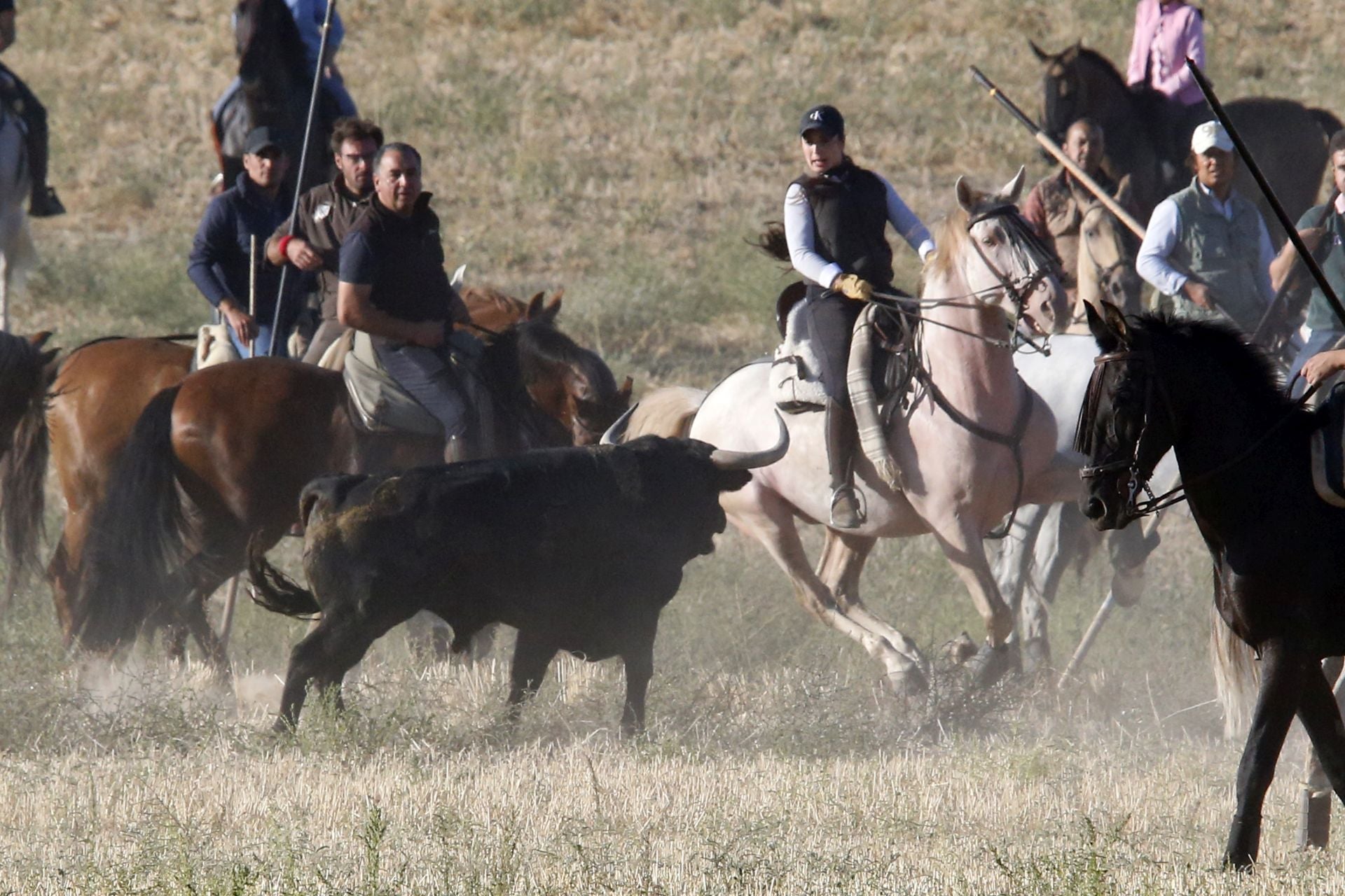 Las imágenes del encierro de este sábado en Medina del Campo