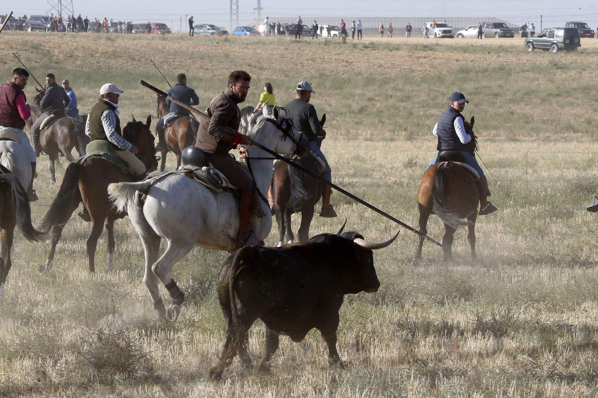 Las imágenes del encierro de este sábado en Medina del Campo