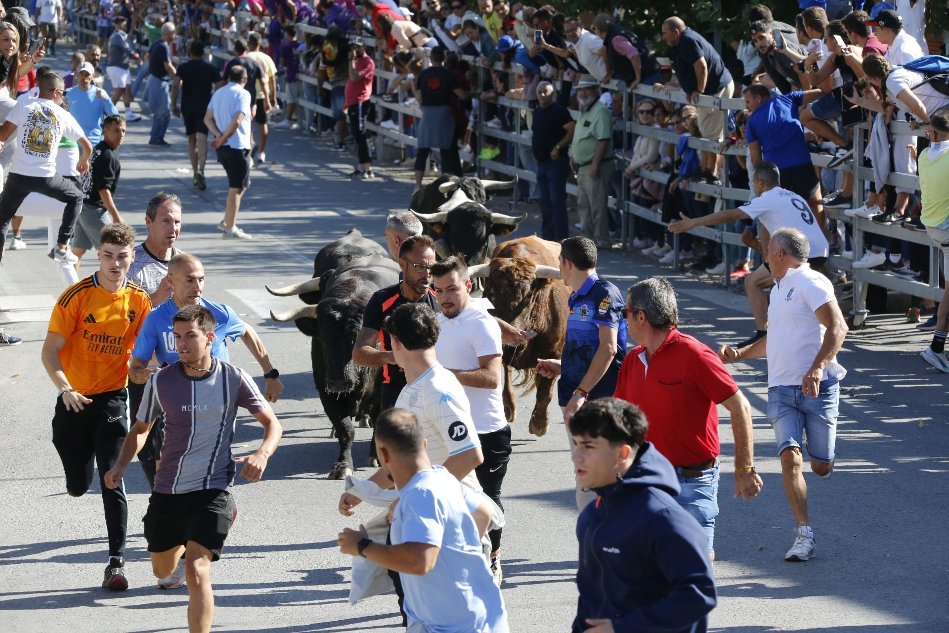 Las imágenes del encierro de este sábado en Medina del Campo