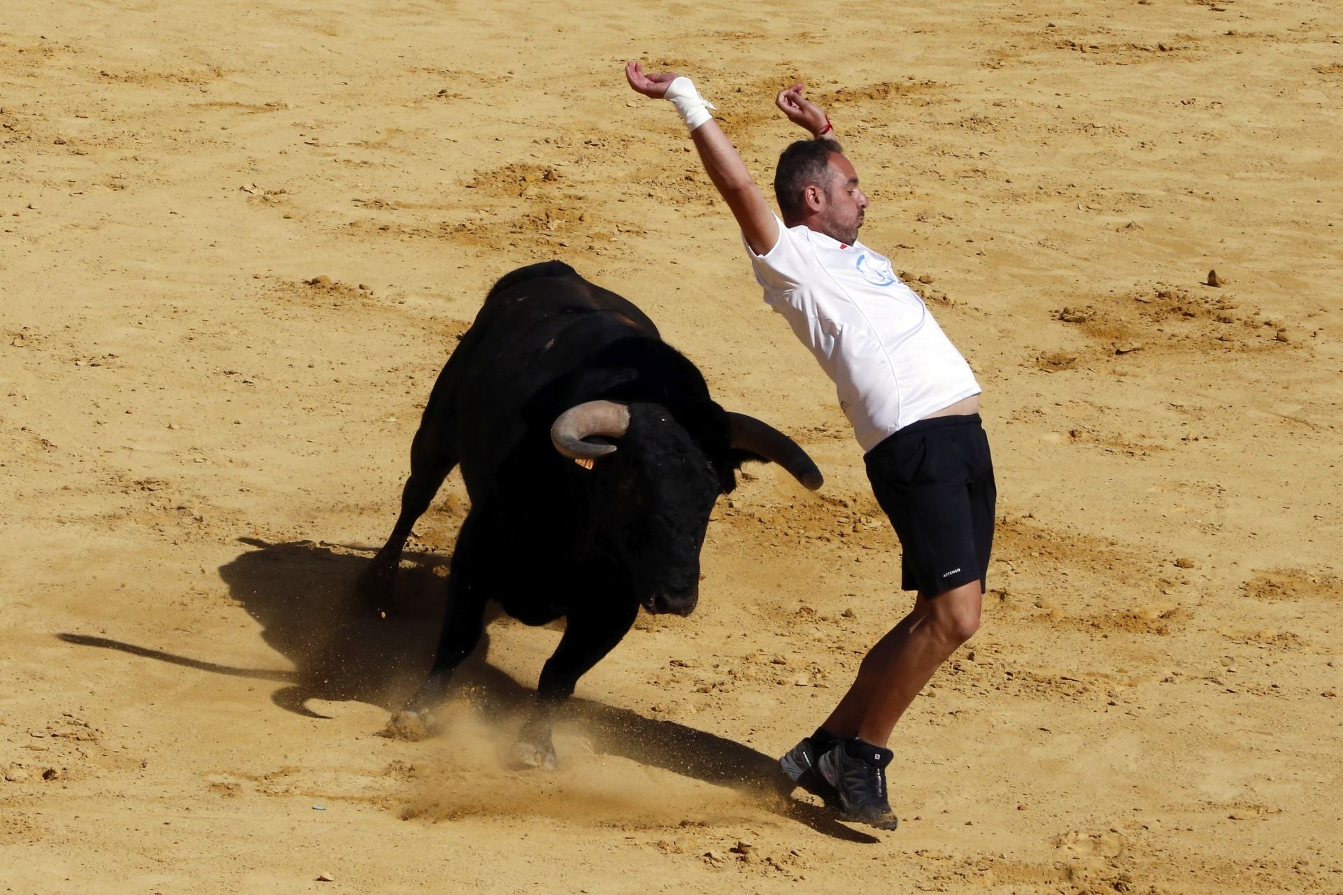 Las imágenes del encierro de este sábado en Medina del Campo