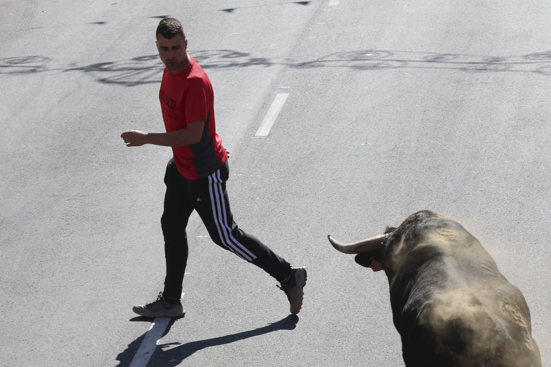 La fotos del encierro urbano en las fiestas de Nava del Rey 2025