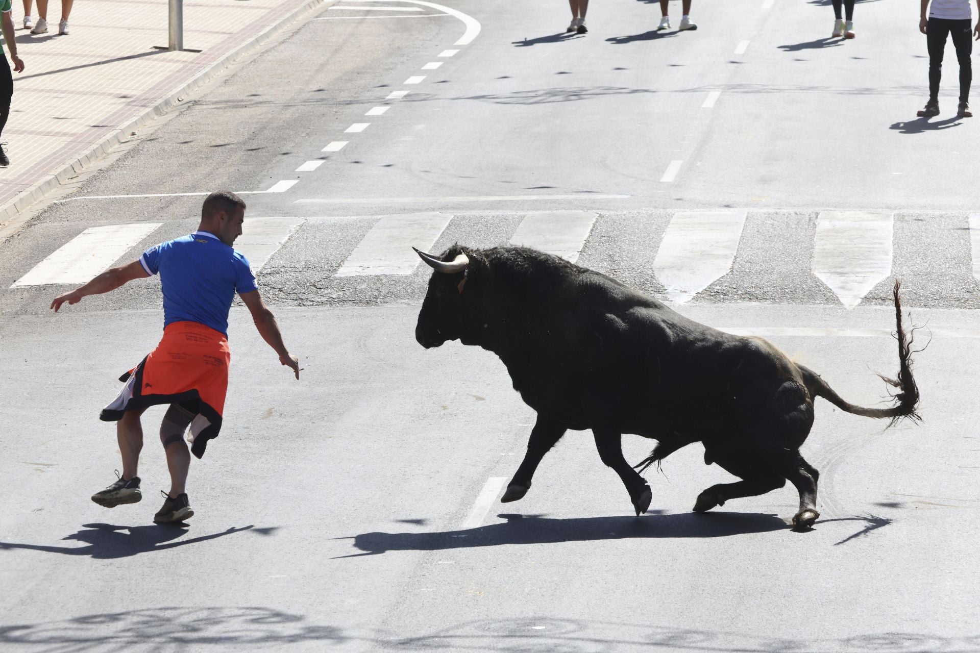 La fotos del encierro urbano en las fiestas de Nava del Rey 2025