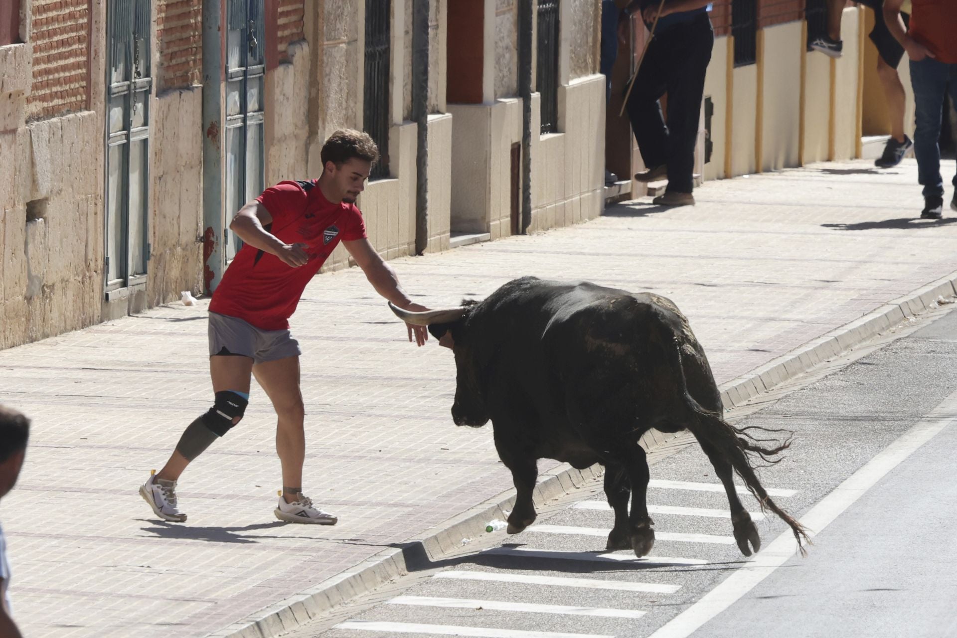 La fotos del encierro urbano en las fiestas de Nava del Rey 2025