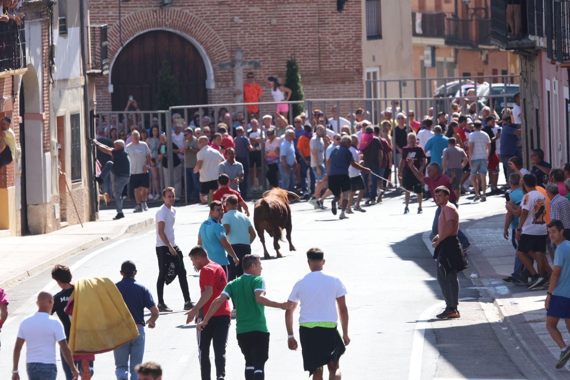 La fotos del encierro urbano en las fiestas de Nava del Rey 2025