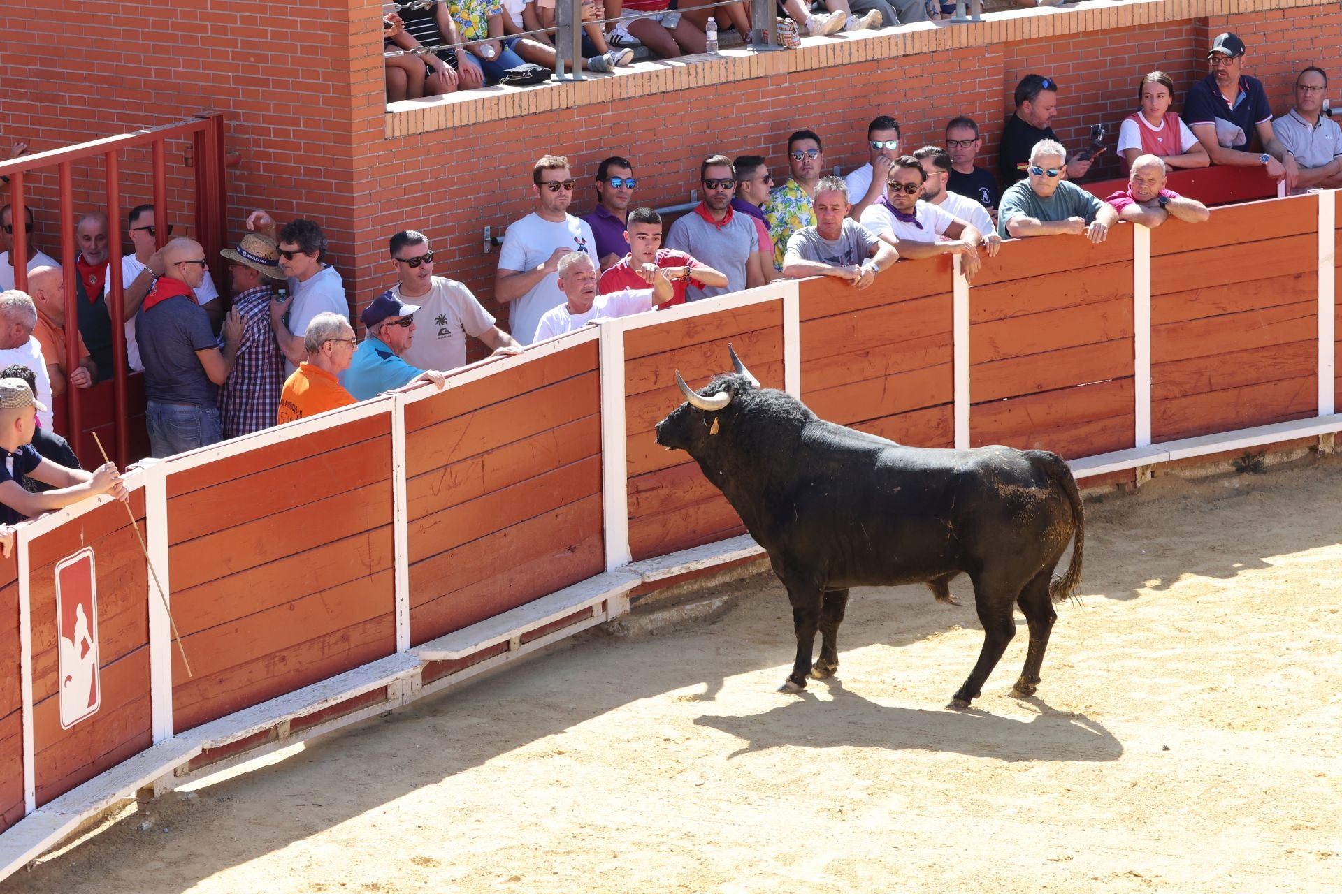 La fotos del encierro urbano en las fiestas de Nava del Rey 2025