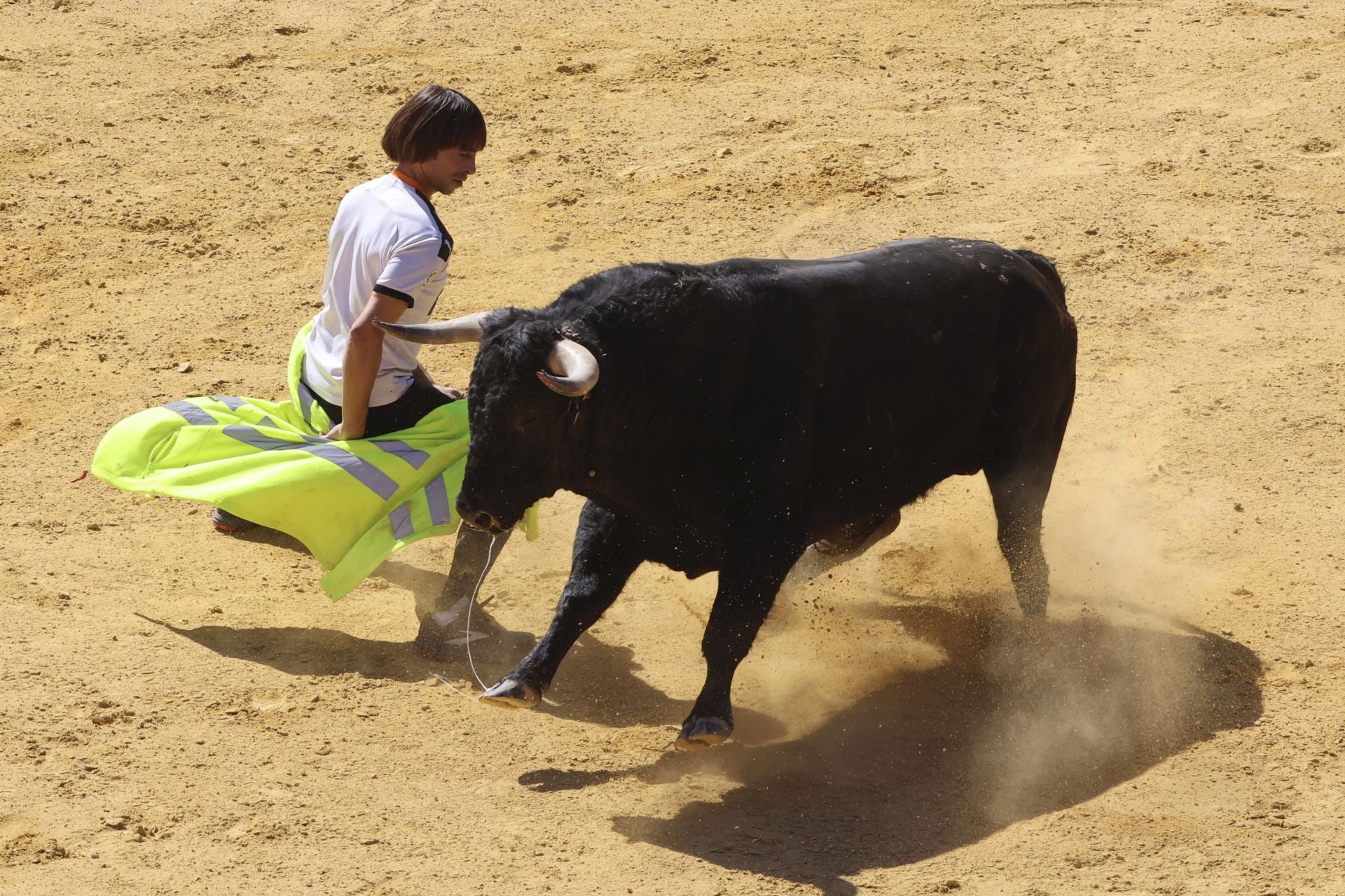 La fotos del encierro urbano en las fiestas de Nava del Rey 2025