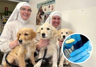 Las monjas cismáticas de Belorado denuncian que les «envenenan a los perros» en Arriondas