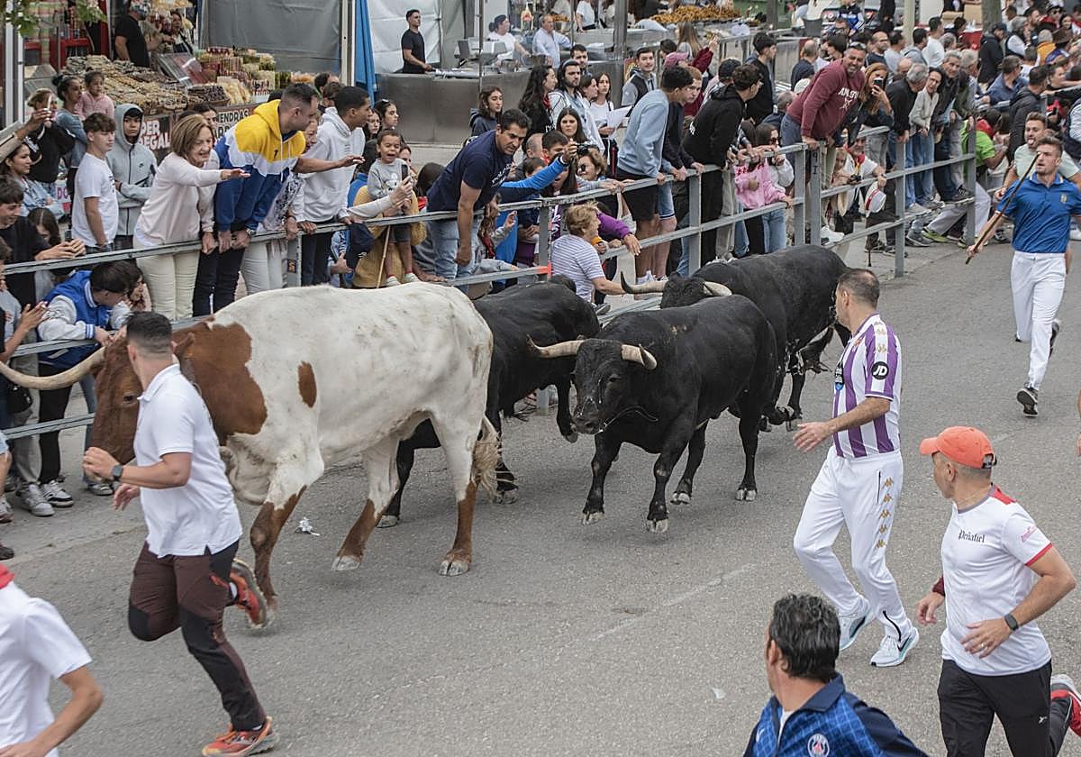 Corredores en el encierro del pasado 31 de agosto.