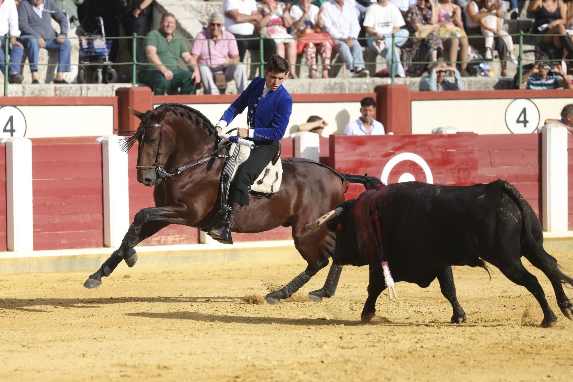 Guillermo Hermoso de Mendoza en la corrida de rejones de Valladolid.