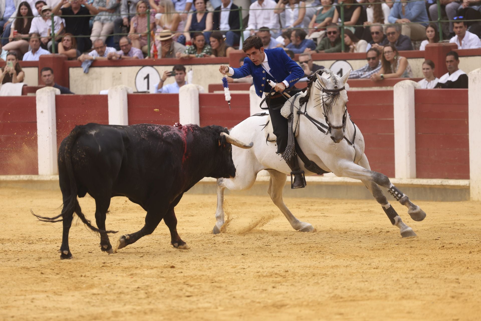 Guillermo Hermoso de Mendoza en la corrida de rejones de Valladolid.