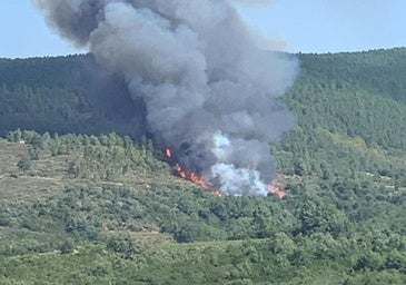 Desactivado el nivel 1 en el incendio de Garcibuey tras un importante despliegue de medios