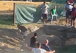 El joven herido intenta escapar del novillo en el encierro de Turégano.