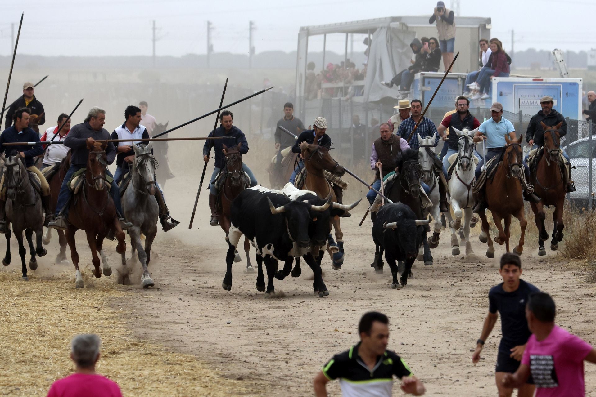 Las fotos del encierro celebrado en Medina del Campo durante la mañana del 7 de septiembre