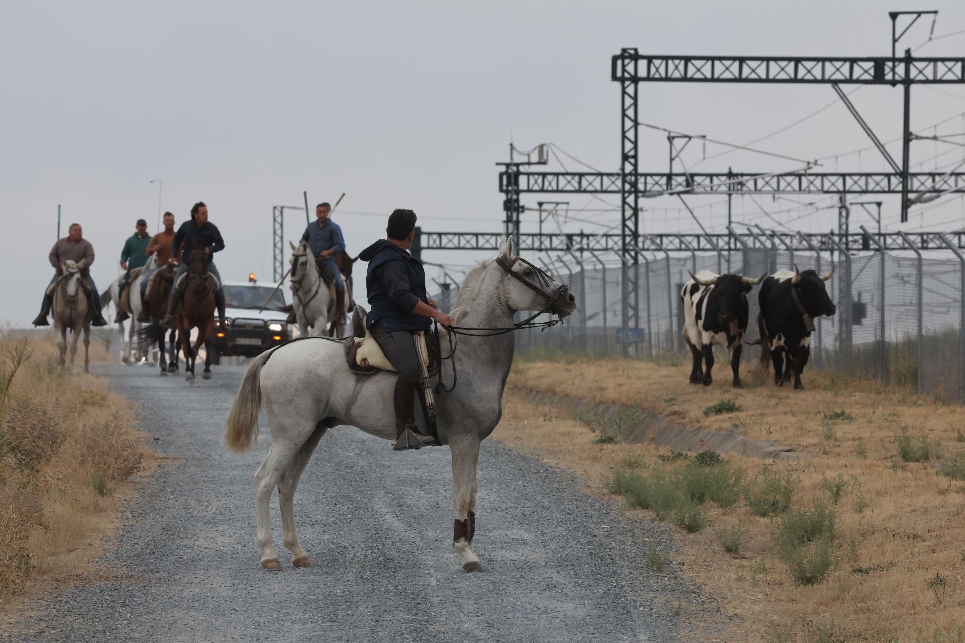 Las fotos del encierro celebrado en Medina del Campo durante la mañana del 7 de septiembre