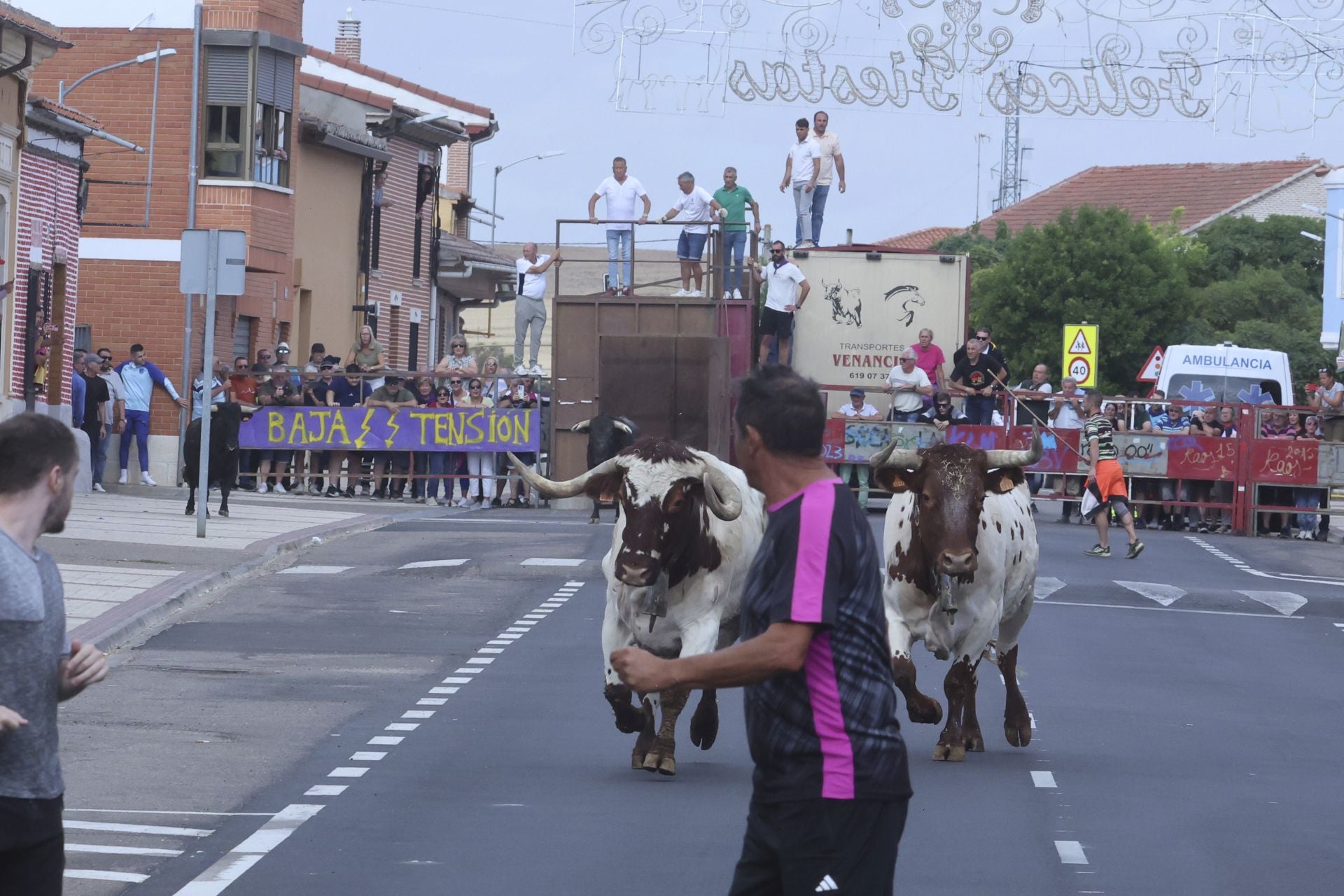 Encierro urbano, vaca del cajón y capea de Nava del Rey