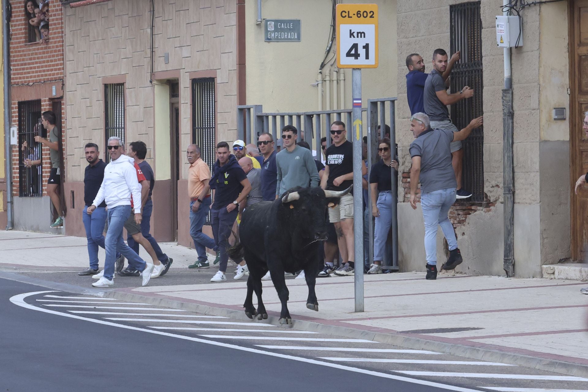 Encierro urbano, vaca del cajón y capea de Nava del Rey