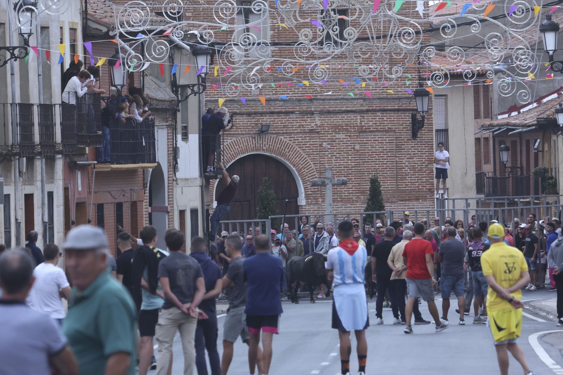Encierro urbano, vaca del cajón y capea de Nava del Rey