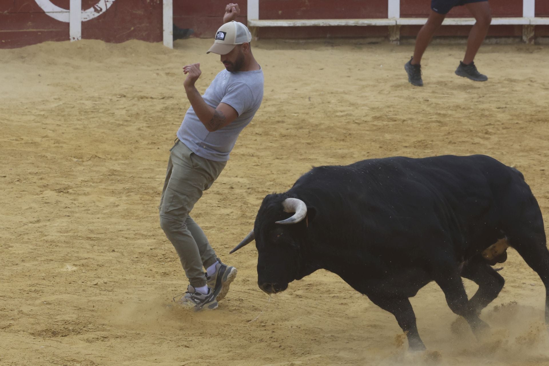Encierro urbano, vaca del cajón y capea de Nava del Rey